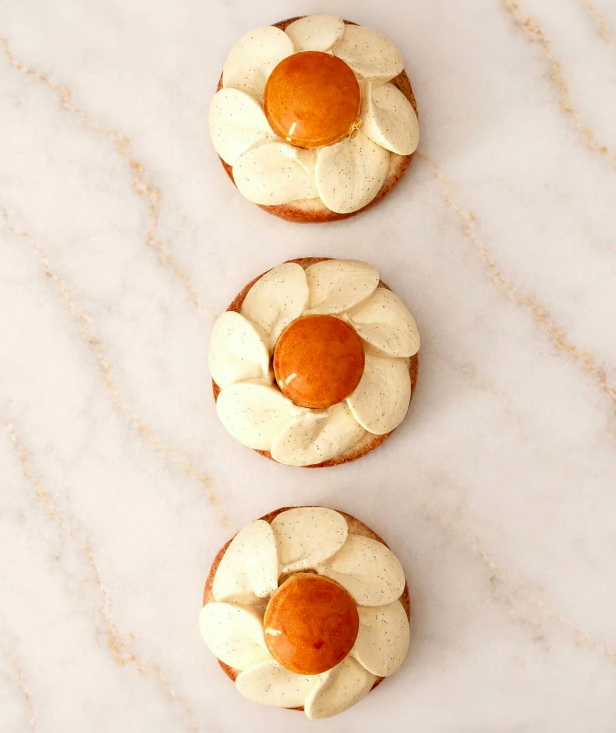 Tarte Saint-Honoré - Individuel