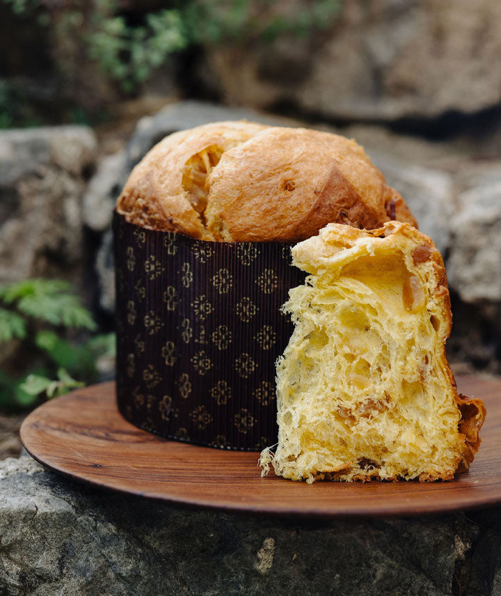 Panettone artisanal au citron de Menton – Mitron Bakery