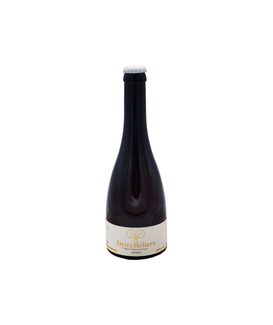 Astéria - Bière blonde
