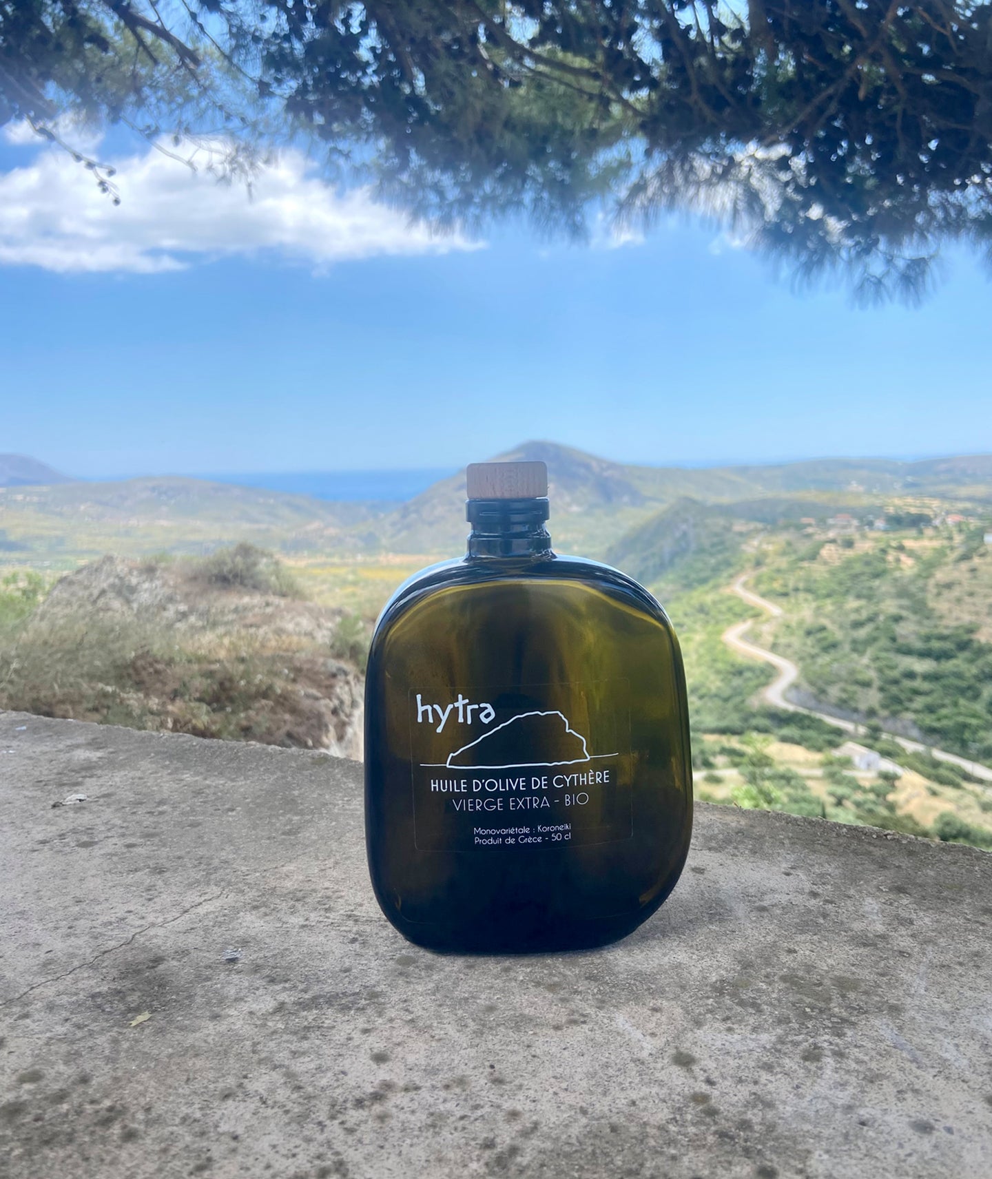 Huile d'olive de cythère extra vierge bio - Hytra