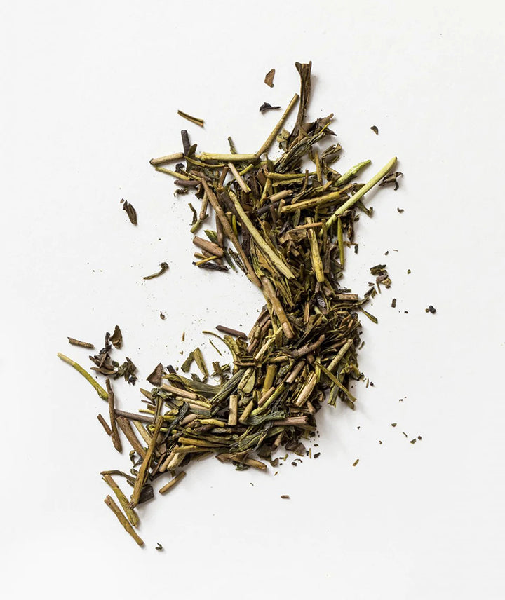 Thé Hojicha bio - 15 sachets