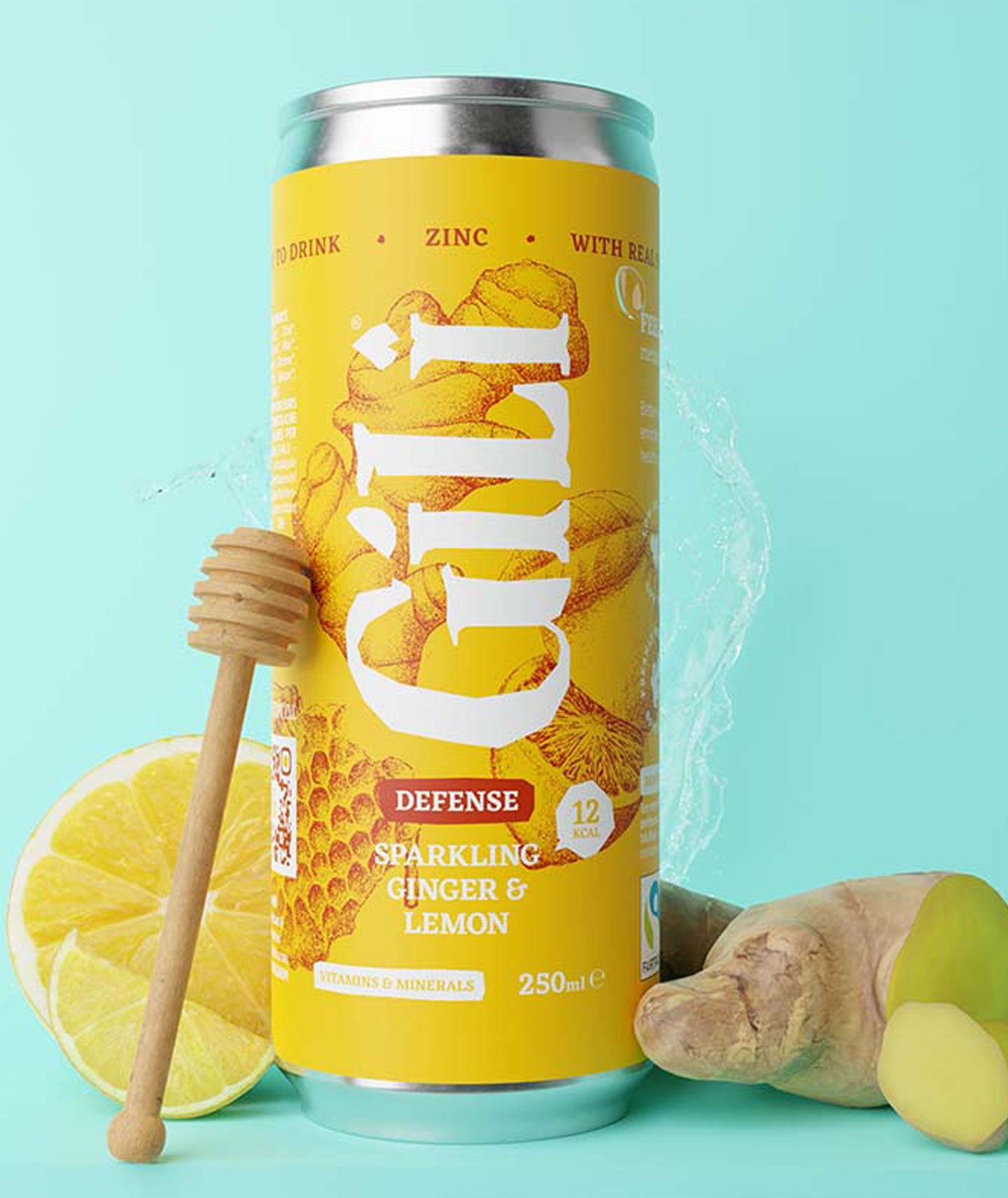 Canette eau pétillante au curcuma Gingembre bio - Défense