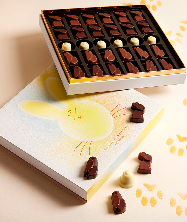 Malline de 24 animaux pralinés et caramels