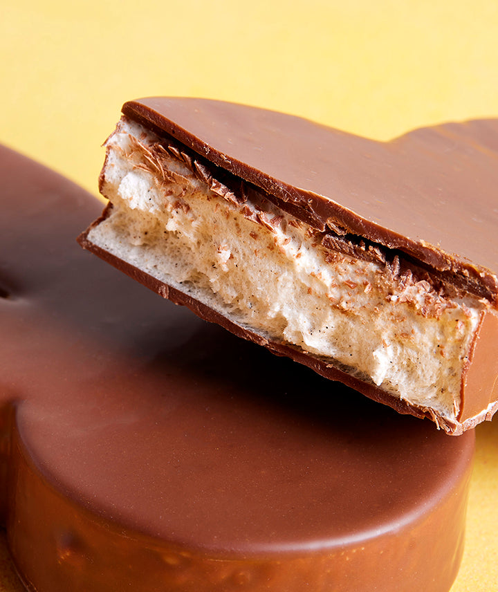 Guimauve vanille enrobée de chocolat