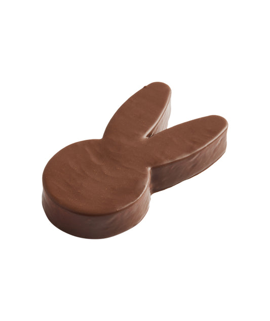 Guimauve vanille enrobée de chocolat