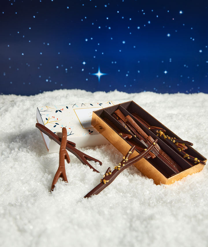 Plumier Brindilles de Noël
