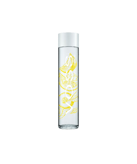Eau Voss gazeuse citron concombre