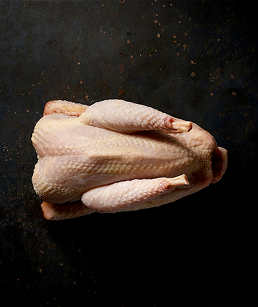 Poulet bio de Kerguilavant