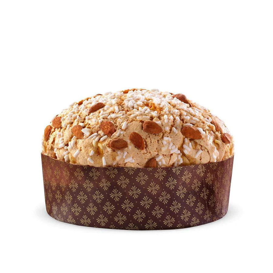Panettone classique édition Noël
