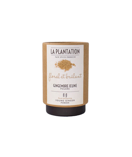 Gingembre jeune en poudre vue face aux Galeries Lafayette Le Gourmet